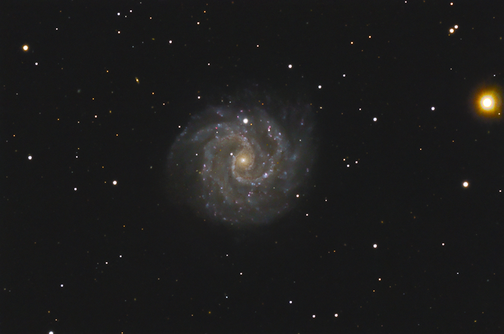 NGC 3184