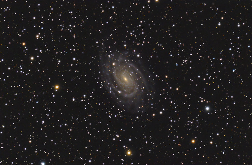 NGC 6384