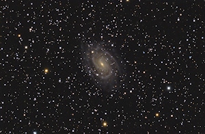 NGC 6384