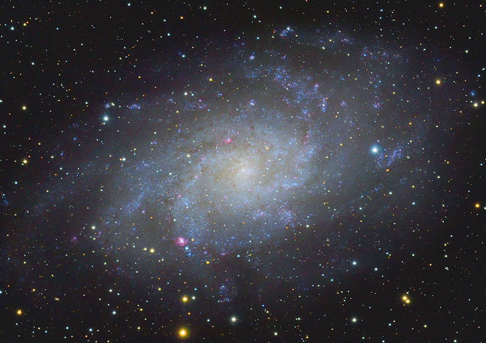 M33