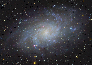 M33