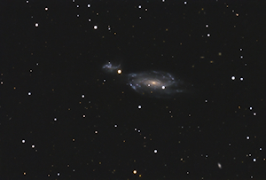 Arp 279