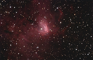 NGC 1491