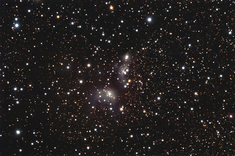 IC 4954