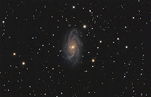 NGC 2336