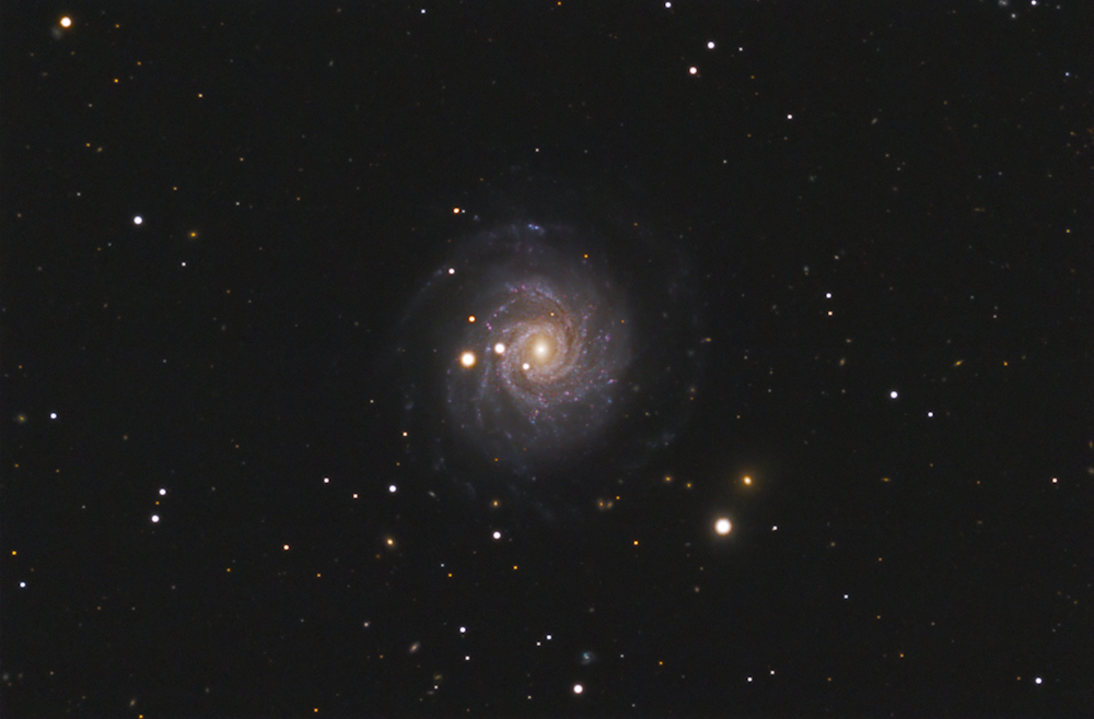 NGC 3344