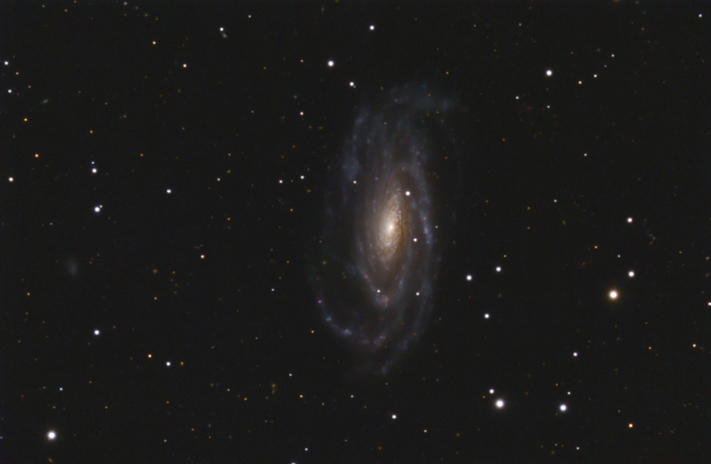 NGC 5033