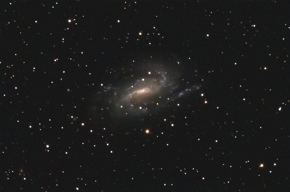 NGC 925