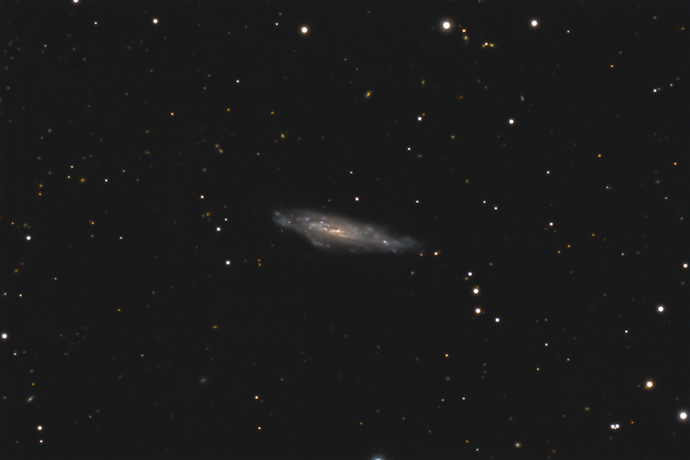 NGC 3003