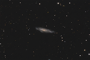 NGC 3003