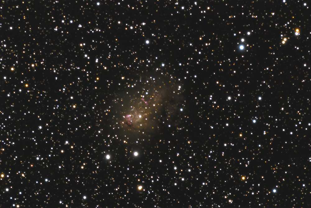 IC 10