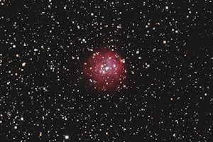 NGC 1624