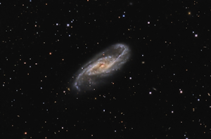 NGC 4536