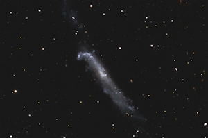 NGC 4656