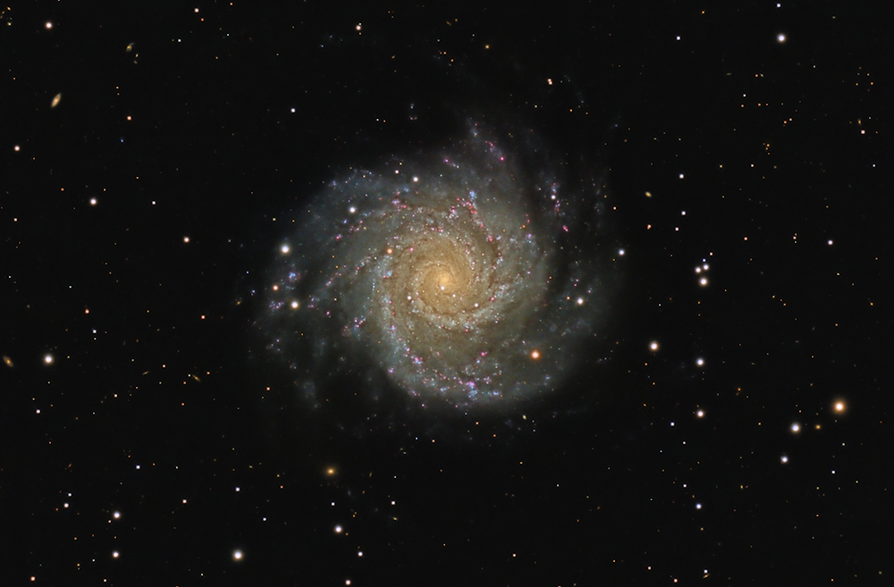 M74