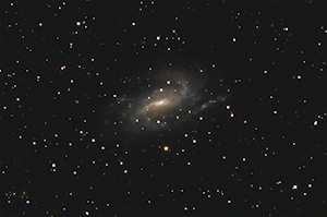 NGC 925