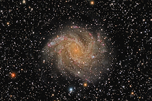 NGC 6946