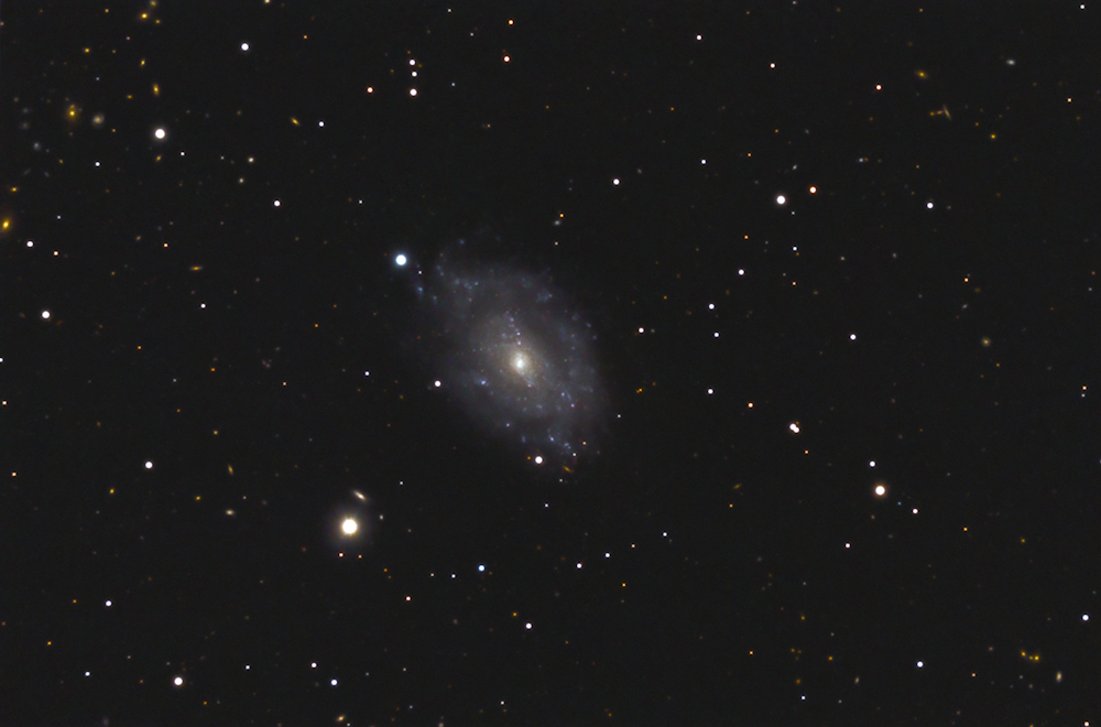 NGC 5585