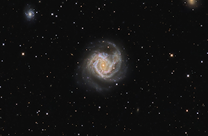 M61