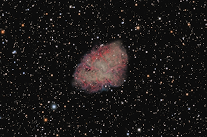 M1