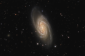 NGC 2903