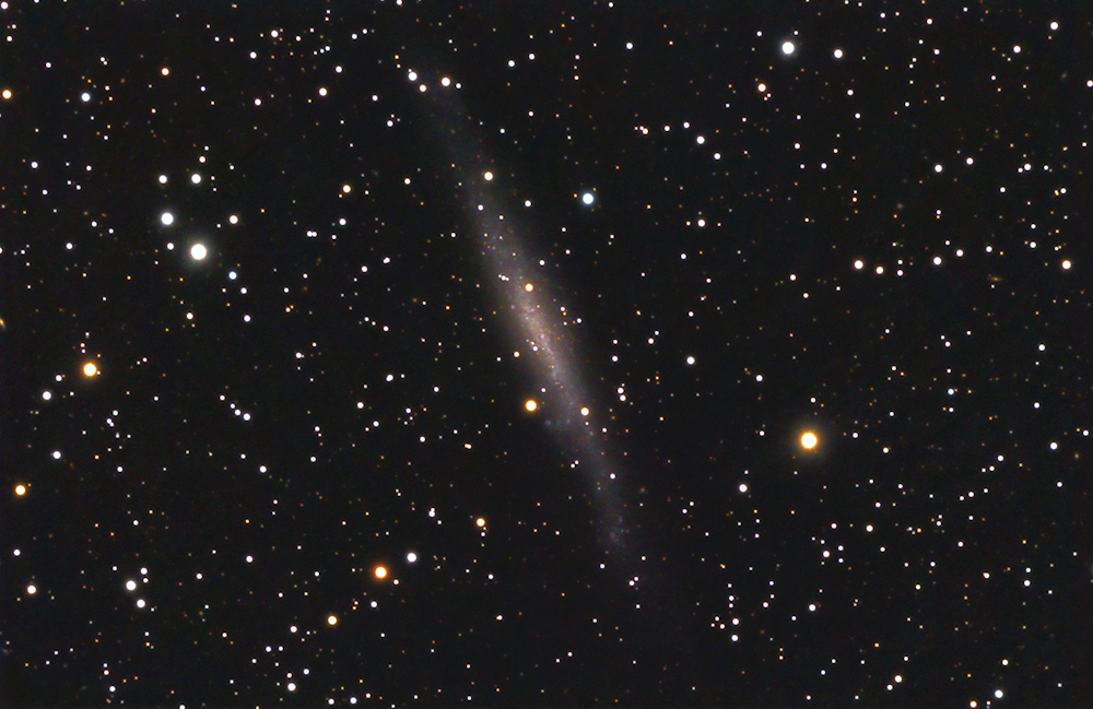 NGC 1560