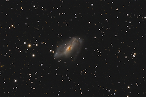 NGC 2146