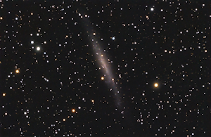 NGC 1560