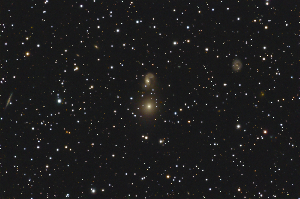 NGC 2275
