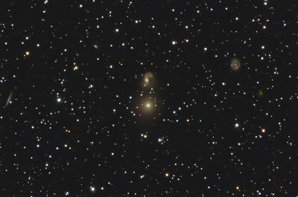 NGC 2275