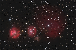 IC 2162