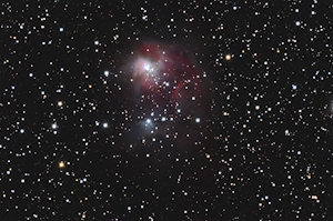 NGC 1931